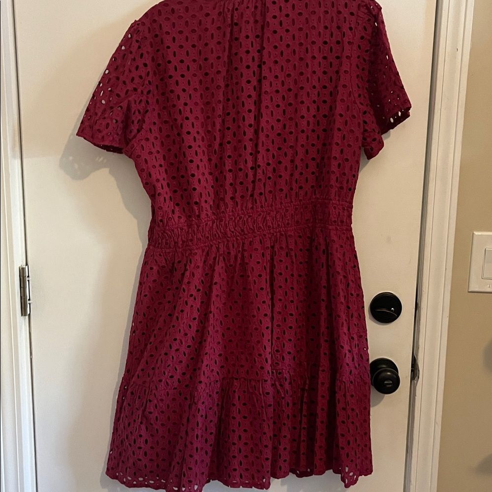 Chic Lace Mini Dress in Rich Dark Burgundy - Picture 3 of 3